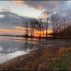 Meet your Posher, Darlene